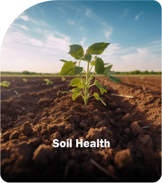 soilhealth_1